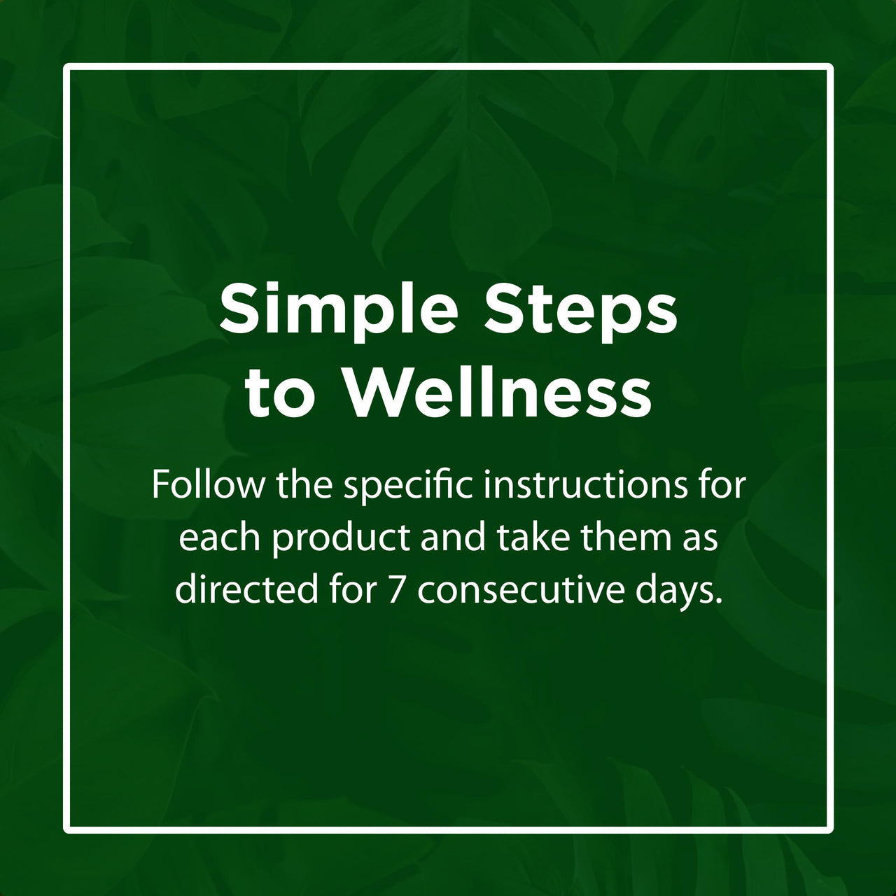 Flora - Flor-Essence 7-Day, 3-Step Kit for Full Body Detox & Cleanse, Detox Kit Contains Detox Tea, ProEssence for Urinary Health and FloraLax Laxative, Plant-Based, Gluten Free, Non GMO