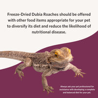 Thumbnail for Fluker's Freeze Dried Dubia Roaches, Ideal for Lizards, Reptiles, Birds, Fish, Hedgehogs, 1.7 oz