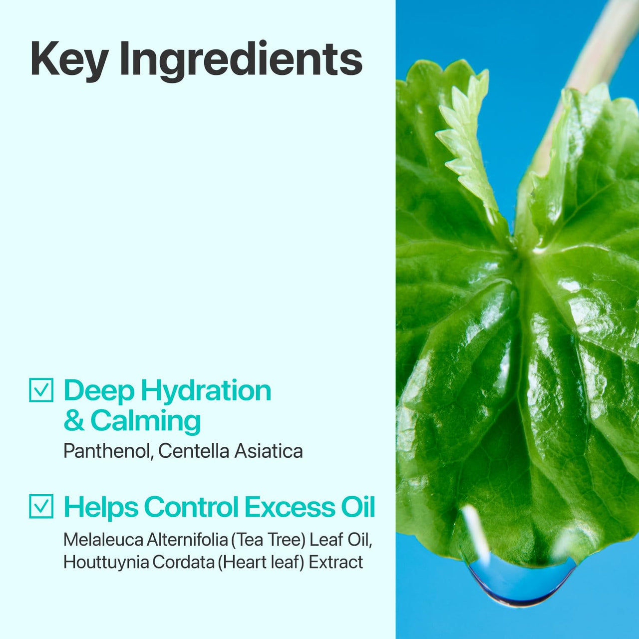 numbuzin No.1 Toner Pads | Centella Re-Leaf Green Toner Pad | Double-Sided | Centella Asiatica, Heartleaf, Licorice Root | Calming, Hydrating, Exfoliating | 70 Pads/6.42 fl. oz.