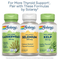 Thumbnail for Solaray Iodine 500 mcg, Iodine Supplement for Healthy Adrenal and Thyroid Support, Energy, Metabolism, and Focus, Potassium Iodide, Vegan, 60-Day Money-Back Guarantee, 30 Servings, 30 VegCaps