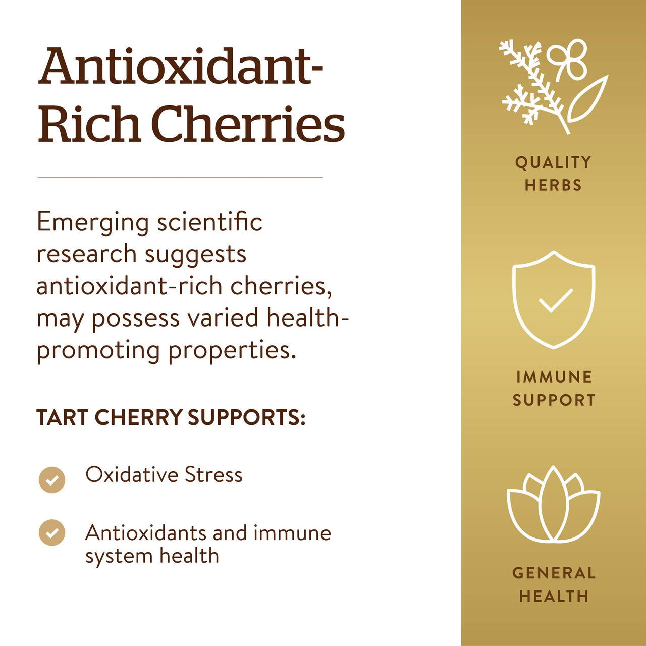 Solgar Tart Cherry 1000 mg, 90 Vegetable Capsules - Antioxidant with Quercetin, Chlorogenic Acid & Anthocyanins Compounds - Non-GMO, Vegan, Gluten Free, Dairy Free - 90 Servings
