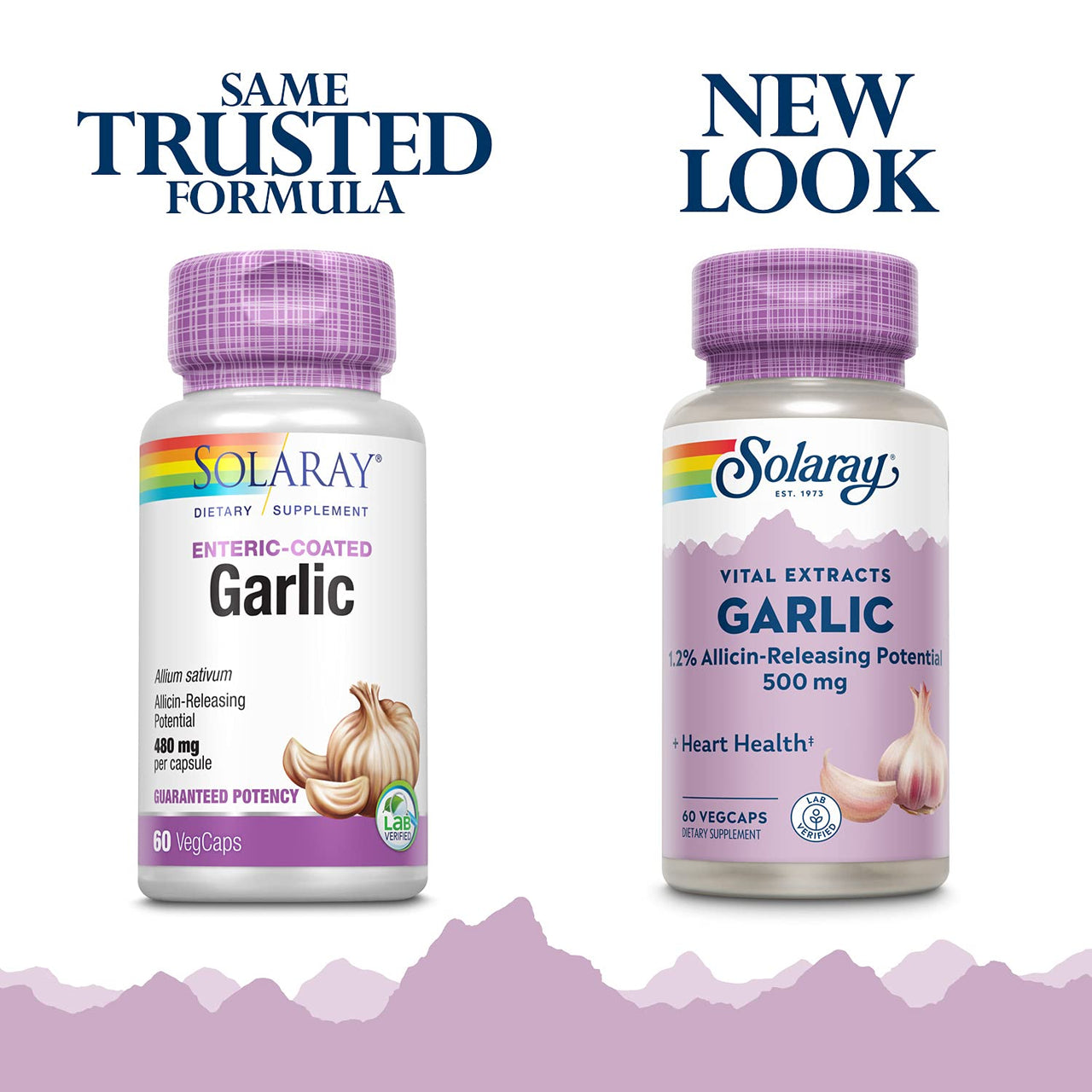 SOLARAY Garlic Supplement 500mg, Vegan, Odorless Garlic Extract, Traditionally Used for Heart Health and Immune Support, Vegan, Odor Free, Lab Verified, 60 Day Guarantee, 60 Serv, 60 Enteric VegCaps