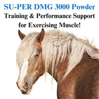 Thumbnail for SU-PER DMG 3000 Horse Supplement - Training & Performance Support Powder - Supports Normal Cardiovascular Immune & Muscle Function - 2.5 Pounds