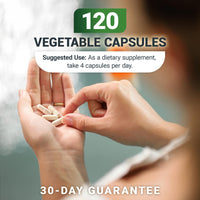 Thumbnail for Dr. Berg Glucosamine Chondroitin MSM Turmeric & Boswellia - Advanced Joint Support Supplement with 1500 mg Glucosamine Sulfate - Includes 120 Capsules