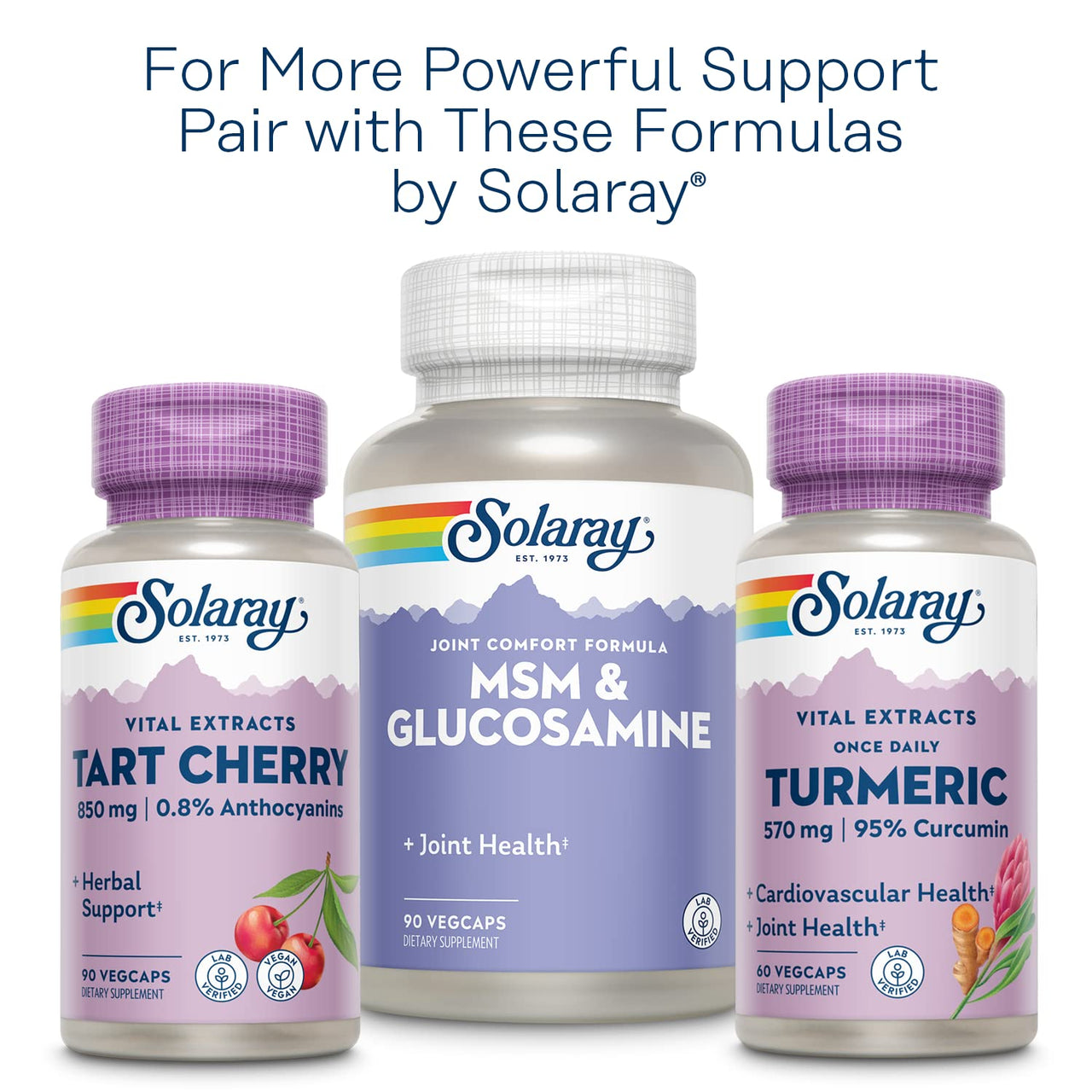 Solaray Celery Seed, 505mg, 100 Vegetarian Capsules