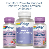 Thumbnail for Solaray Celery Seed, 505mg, 100 Vegetarian Capsules
