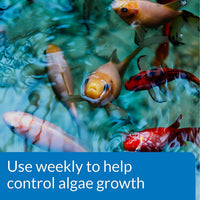 Thumbnail for API POND ALGAEFIX Algae Control 64-Ounce Bottle (FF-169D)