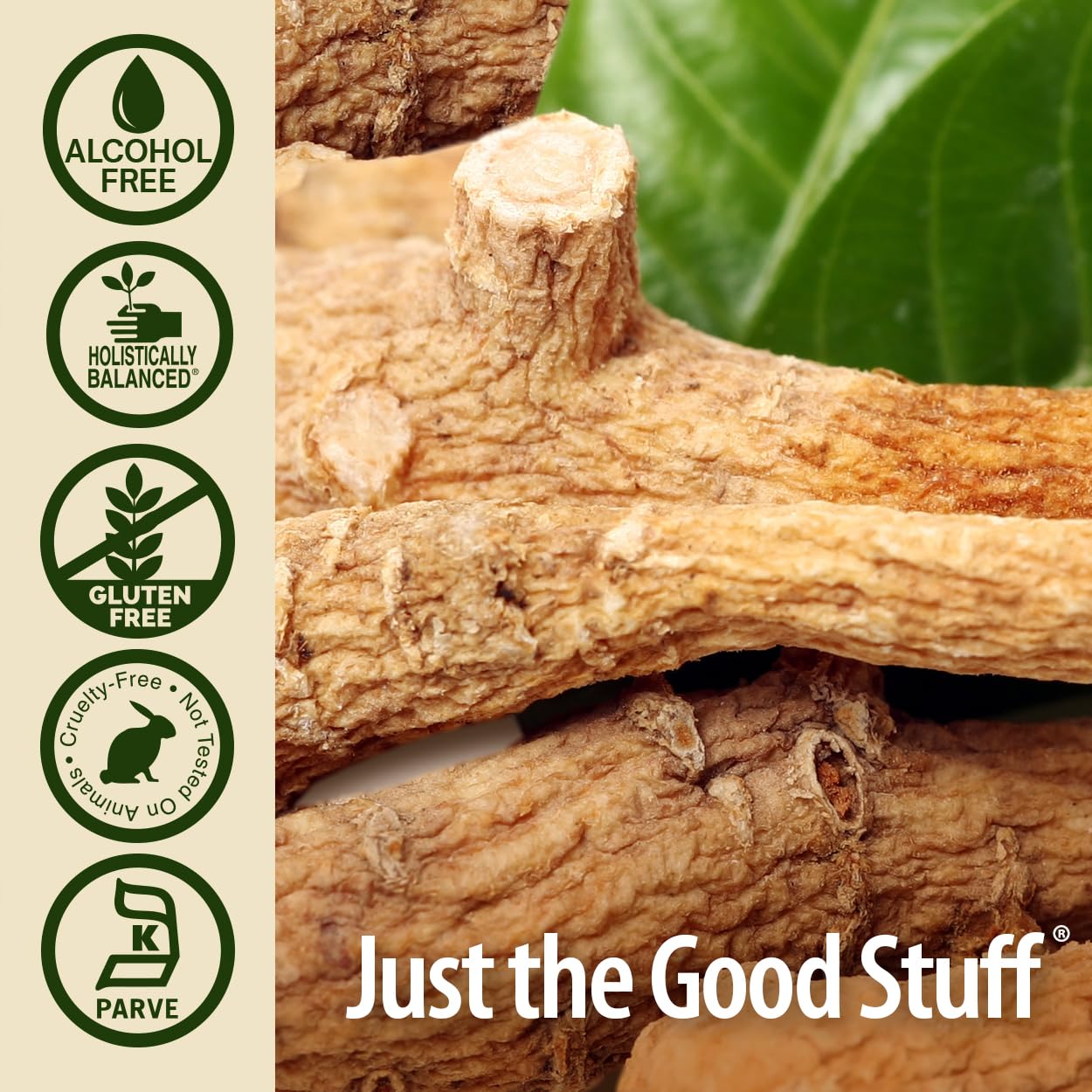Nature's Answer Alcohol-Free Ginseng American Root, 1-Fluid Ounce