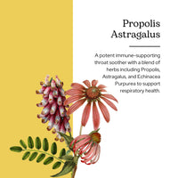 Thumbnail for Eclectic Herb - Propolis Astragalus Throat Soothing Spray Kids | Immune Respiratory Support | Non-GMO, Gluten-Free (1 fl oz | 30 ml)