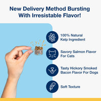 Thumbnail for ProDen PlaqueOff Scoopables - Hickory Smoked Bacon Flavor Dental Bites for Large Dogs, Natural Kelp for Plaque & Tartar Control, Freshens Breath -Large & Giant Breed Dental Care- 45 Scoops
