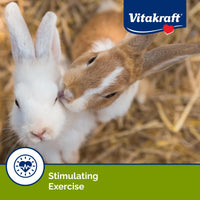Thumbnail for Vitakraft Crunch Sticks Rabbit Treat Wild Berry and Honey Flavor with Natural Grains and Honey Enriched with Essential Nutrients Baked on Wooden Stick to Encourage Chewing and Long Lasting Enjoyment