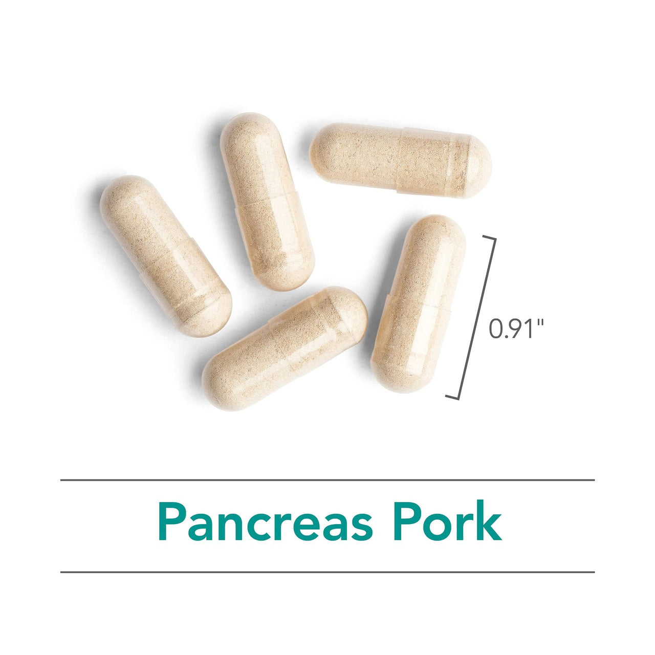 NutriCology Pancreas Natural Glandular - Supports Healthy Pancreas, Immune & Digestive Activity - 425 mg per Serving - Freeze Dried Tissue from Pork - 720 Servings - 720 Capsules