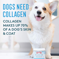 Thumbnail for The Missing Link Collagen Care Skin & Coat Soft Chews 60ct - Daily Hair Growth, Healthy Skin & Strong Nails Support for Dogs