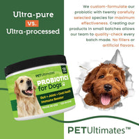 Thumbnail for Pet Ultimates Probiotics for Dogs – 22-Species Dog Probiotics for Digestive Support & Antibiotics Recovery – Skin and Coat Supplement, Enhances Vitality – Dog Health Supplies (1 Pack)
