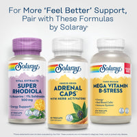 Thumbnail for SOLARAY Adrenal Caps, Freeze-Dried - Wellness Support Adrenal Cocktail with Herb Activators Eleuthero, Gotu Kola, Licorice and Clove - Lab Verified, 60-Day Guarantee - 30 Servings, 60 VegCaps