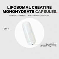 Thumbnail for Codeage Liposomal Creatine Monohydrate Supplement, Pure Creatine 2500mg - 3 Months Supply, Micronized, Creatinine Muscles Sports Nutrition and Athletes, Non-GMO - 360 Capsules