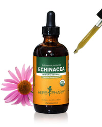 Thumbnail for Herb Pharm Certified Organic Echinacea Root Liquid Extract for Immune System Support, Organic Cane Alcohol, 4 Ounce