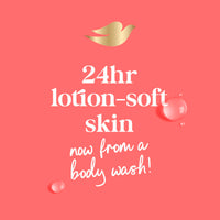 Thumbnail for Dove Body Wash Rebalance White Peach & Rice Milk For 24hr Lotion-Soft Skin Moisturizing Skin Cleanser with No Sulfates No Parabens 30.6 oz