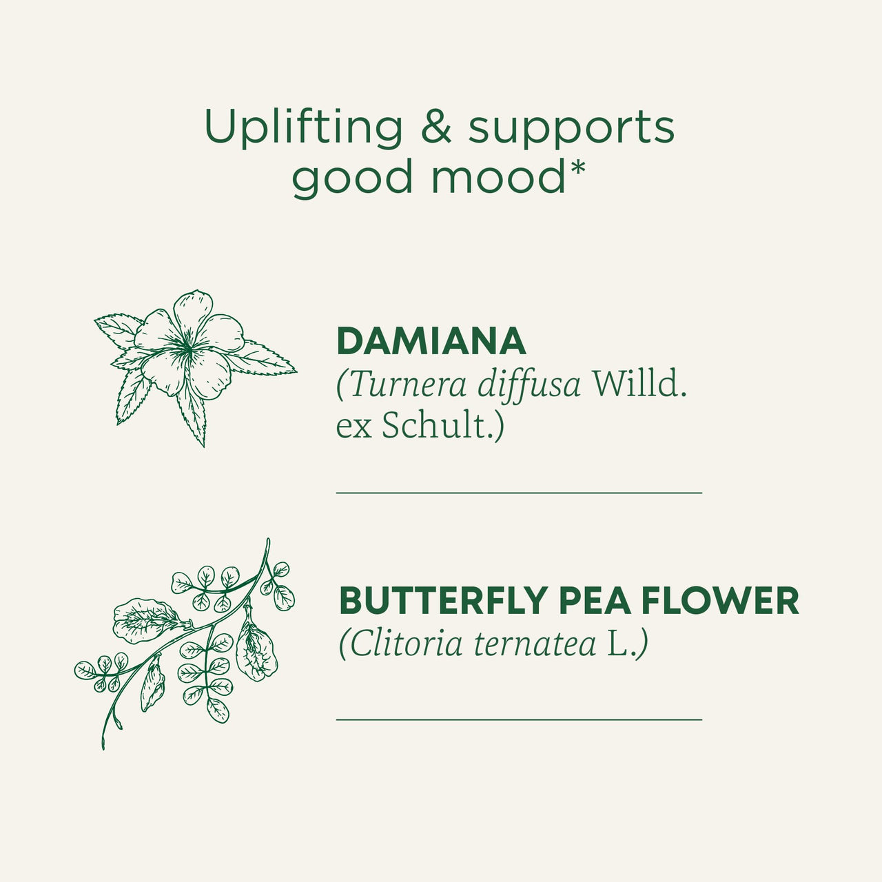 Traditional Medicinals Organic, Rosy Mood, Damiana & Butterfly Pea Flower - Uplifting Mood Support - Kosher, Non-GMO, Caffeine-Free, Compostable - 96 Tea Bags (6 Packs of 16)