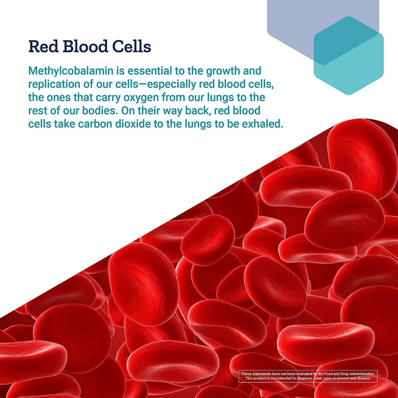 Life Extension Vitamin B12 Methylcobalamin 500mcg - Vitamin B12 Supplement for General Energy and Brain Health - Sugar Free Vegetarian Lozenges Dissolve in Your Mouth - Once Daily - 100 Count