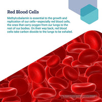 Thumbnail for Life Extension Vitamin B12 Methylcobalamin 500mcg - Vitamin B12 Supplement for General Energy and Brain Health - Sugar Free Vegetarian Lozenges Dissolve in Your Mouth - Once Daily - 100 Count