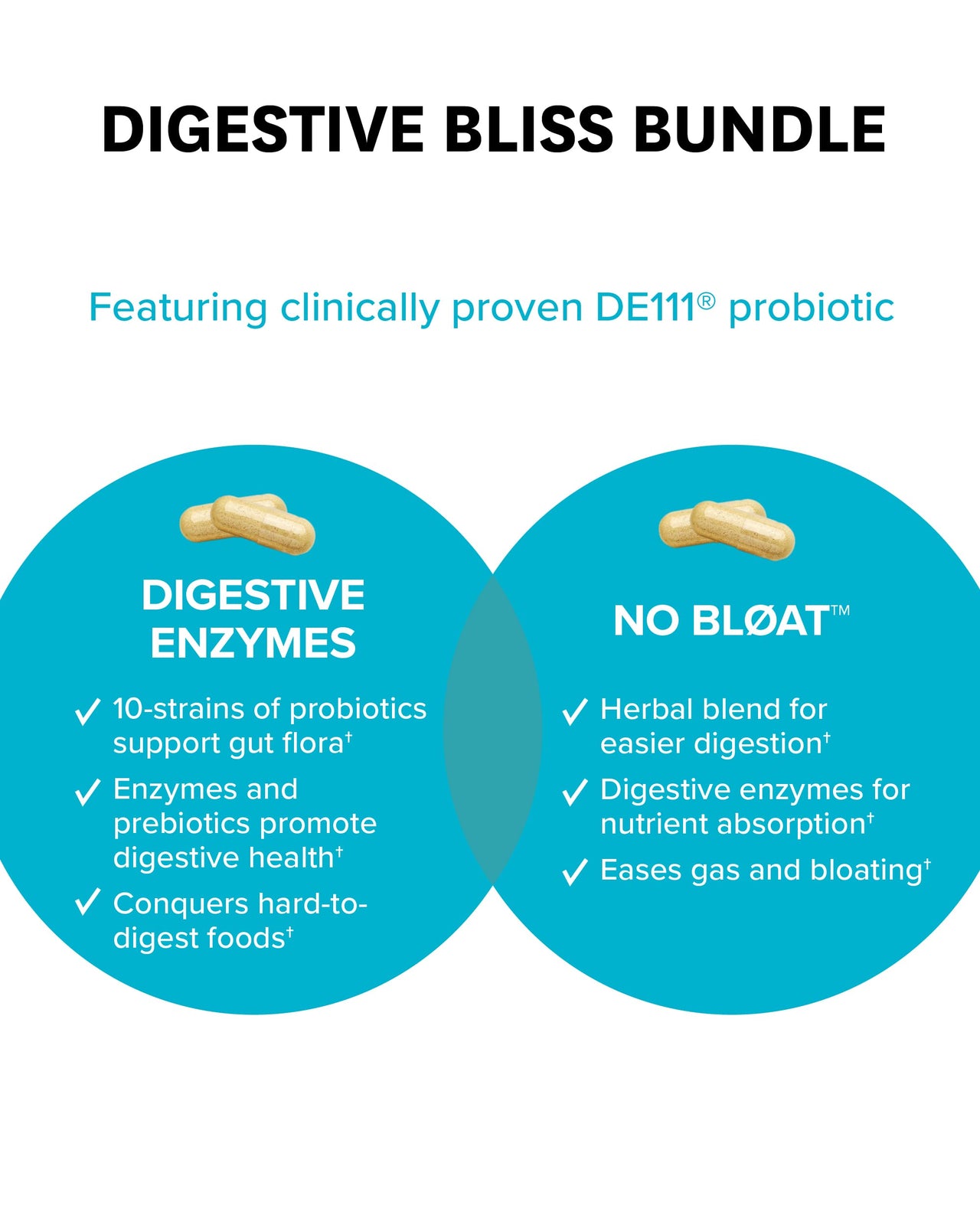 Zenwise Health Bliss Bundle Digestive Enzymes + No Bloat + Free Travel Tin - pre and Post Meal Digestive Routine with enzymes and probiotics for Digestion