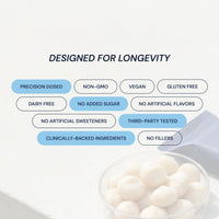Thumbnail for Blueprint Bryan Johnson Macadamia Nut Protein Bars – 9G Plant Protein – Vegan, Low Carb, Low Sugar, Keto-Friendly Snacks - Non-GMO, Raw Nut Bar, Natural Ingredients (White Cocoa - 12 Pack)