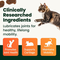Thumbnail for VetriScience Ultimate Strength Healthy Hip & Joint Chews, GlycoFlex Glucosamine, Chondroitin and Green-Lipped Mussel Joint Supplement for Cats, Soothe Joint Discomfort, Fish, 30 Count