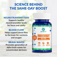 Thumbnail for BioTrust Brain Bright - Daily Nootropic Boost for Focus, Concentration, Mental Clarity - Caffeine Free Nootropics Brain Support Supplement - Thai Ginger, Ginkgo, Folate, L-Theanine - 30 Servings