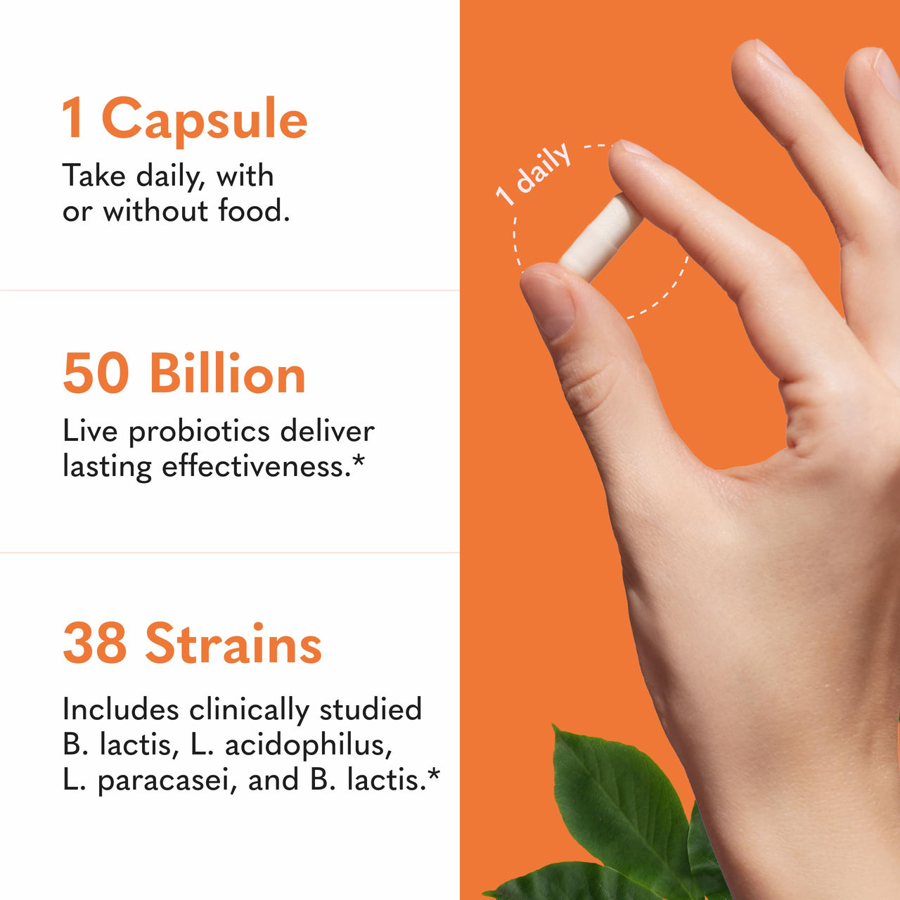 Garden of Life Raw Probiotics Ultimate Care - 100 Billion CFU - Dietary Supplement for Gut Health Support - For Women & Men - 30 Vegetarian Capsules