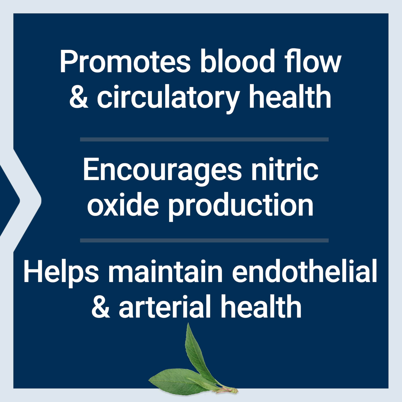 Life Extension NitroVasc™ Boost, Blood Flow Supplement, Nitric Oxide Support, Heart Health, Cardiovascular Support, L-arginine, Gluten-Free, Non-GMO, Vegetarian, 1 Scoop, 30 Servings