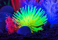 Thumbnail for GloFish Yellow Anemone Ornament, Detailed Aquarium Ornament, Creates A Glowing Effect
