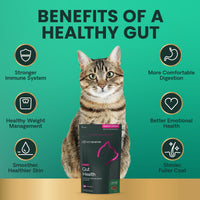 Thumbnail for VetriScience Gut Health Chews, Probiotic Everyday Digestive Supplement for Cats, Pet Probiotics for Digestion Support, Gas and Diarrhea, Immune Support, 120 Million CFU Per Chew, Duck, 60 Count