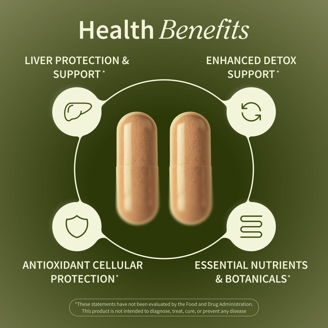 Snap Supplements Liver Health & Detox - Milk Thistle Supplement Supports Healthy Liver and Digestive Health, 60 Vegetarian Capsules (1 Month Supply)
