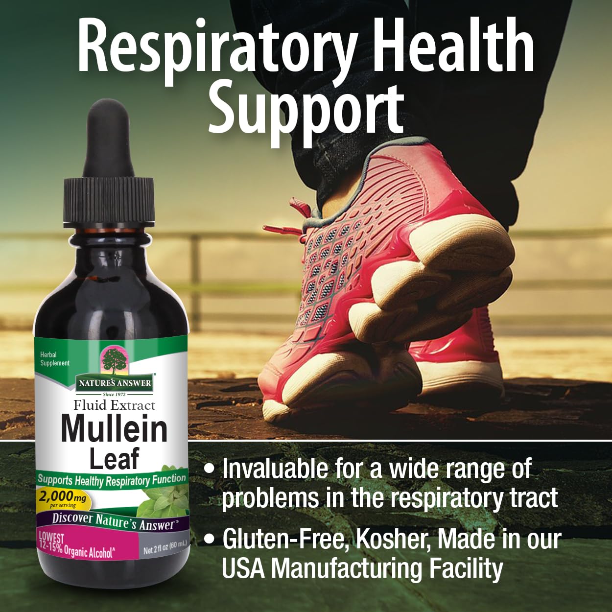 Nature's Answer Mullein Leaf Fluid Extract, 2 fl oz (60 ml)