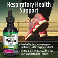 Thumbnail for Nature's Answer Mullein Leaf Fluid Extract, 2 fl oz (60 ml)
