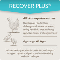Thumbnail for FlockLeader Recover Plus Moderate Stress Probiotic Water Supplement for Chickens with Electrolytes & Oregano, 8 oz
