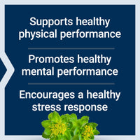 Thumbnail for Life Extension Rhodiola Extract, Rhodiola rosea Supplement, standardized Extract, Promotes Physical and Mental Performance, Gluten-Free, Non-GMO, Vegetarian, 250 mg, 60 Capsules