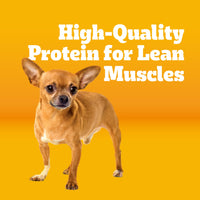 Thumbnail for Pedigree Complete Nutrition Adult Small Dog Dry Dog Food, Roasted Chicken, Rice & Vegetable Flavor, 3.5 lb. Bag