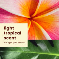 Thumbnail for Hawaiian Tropic SPF 30 Broad Spectrum Sunscreen Pack - AntiOxidant Sunscreen Lotion (6oz) & Mist (3.4oz)