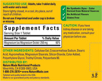 Thumbnail for Nature Made Magnesium Oxide 250 mg, Dietary Supplement for Muscle, Heart, Bone and Nerve Health Support, 100 Tablets, 100 Day Supply (Pack of 2)