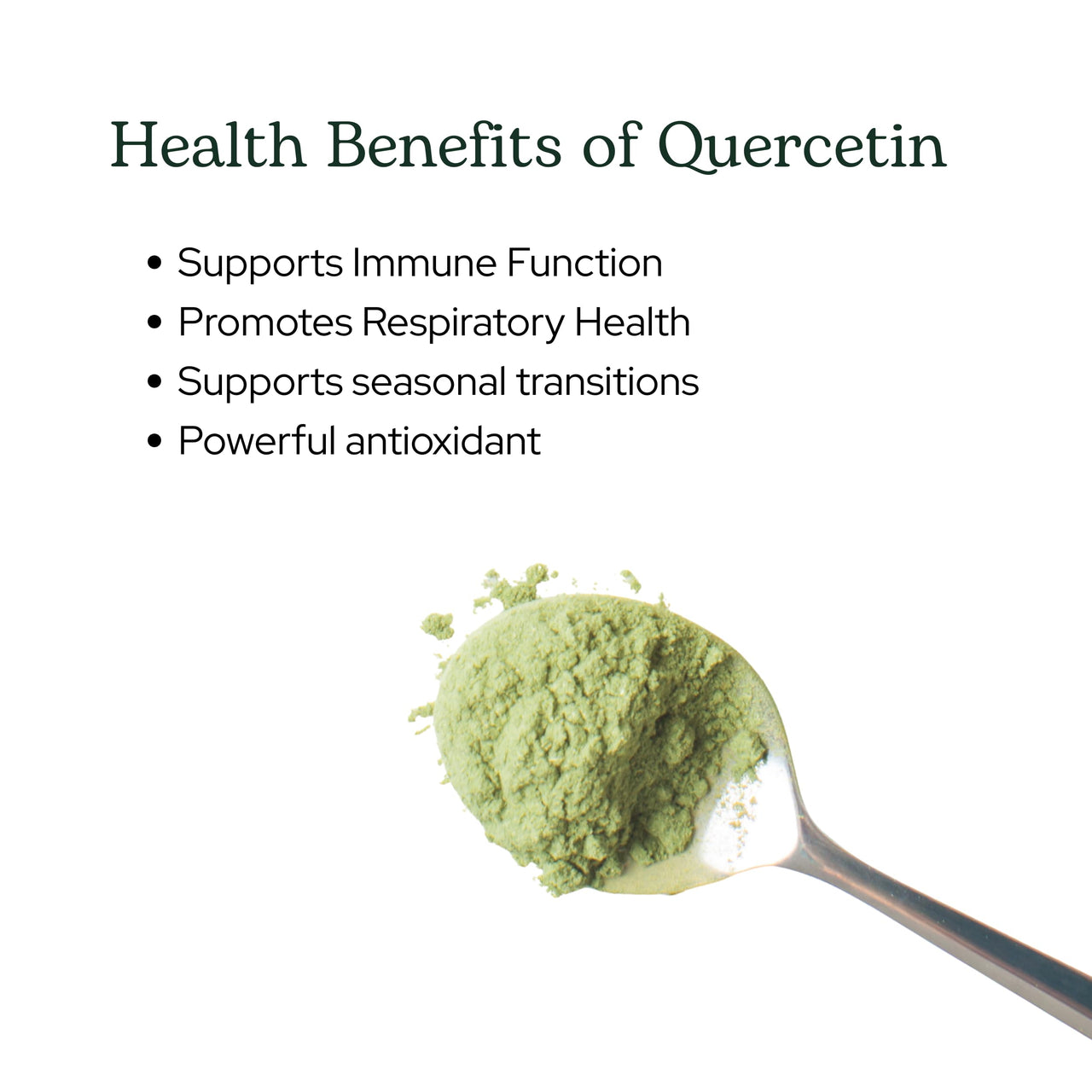 Eclectic Institute Raw Fresh Freeze-Dried Quercetin Flavonoid Complex, Whole Food Powder | 3.2 oz (90 g)