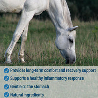 Thumbnail for Absorbine Bute-Less Comfort & Recovery Supplement Pellets, Healthy Inflammatory Response, 5 lb / 80 Day Supply