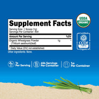 Thumbnail for Nutricost Organic Wheatgrass Powder 1 LB - Non-GMO Superfood