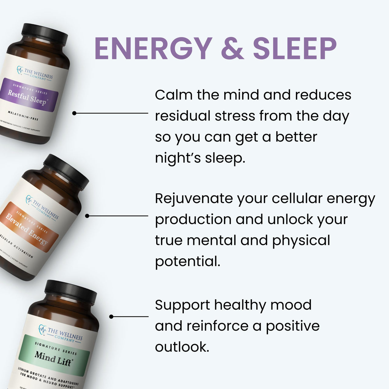 The Wellness Company Elevated Energy | 120 Capsules (2 Month Supply) | Natural Energy Booster with Herbal Extracts | Non-GMO, Vegan, Gluten Free
