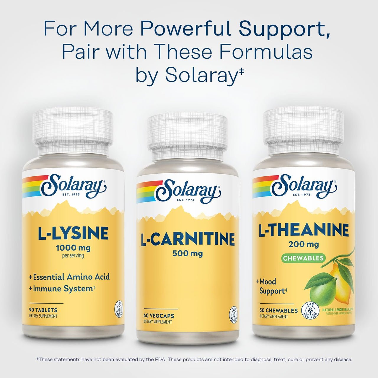 SOLARAY L-Carnitine 500 mg, Free Form Amino Acid, Lab Verified, GMP Facility, 60-Day Money-Back Guarantee, 60 Servings, 60 VegCaps