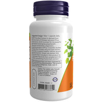 Thumbnail for NOW Foods Pine Bark Extract 240 mg, 90 Vegetable Capsule (2 Pack)