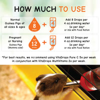 Thumbnail for OASIS #80254 Vita Drops-Pure C for Guinea Pig, 2-Ounce, Packaging may vary