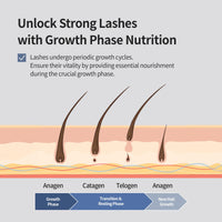 Thumbnail for BENTON HONEST Eyelash Serum - Korean Skin Care Lash Serum with Hyaluronic Acid & Peptides | Eyelash & Eyebrow Growth Serum (0.33 fl oz)