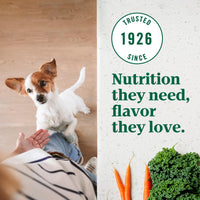 Thumbnail for Nutro Ultra Adult Toy Breed Dry Dog Food, Small Dog Food Dry Chicken, Lamb and Salmon Recipe with a Protein Trio, 3.5 lb. Bag